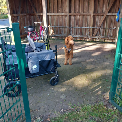 Ausflug zum Spielplatz Ausflug zum Spielplatz